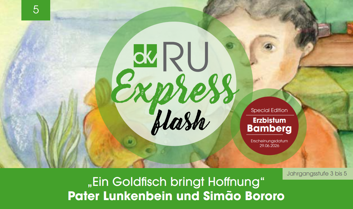 Cover RU Express flash Special Edition